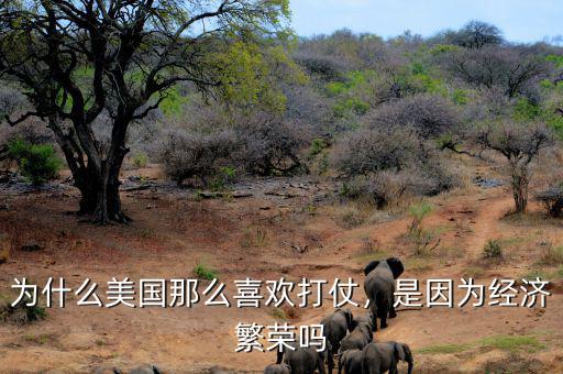 為什么美國(guó)那么喜歡打仗，是因?yàn)榻?jīng)濟(jì)繁榮嗎