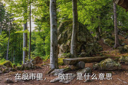 在股市里，“做T”是什么意思
