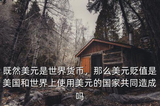 既然美元是世界貨幣，那么美元貶值是美國和世界上使用美元的國家共同造成嗎