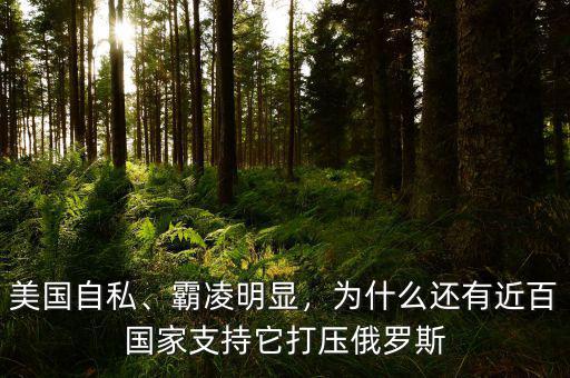 美國(guó)自私、霸凌明顯，為什么還有近百?lài)?guó)家支持它打壓俄羅斯
