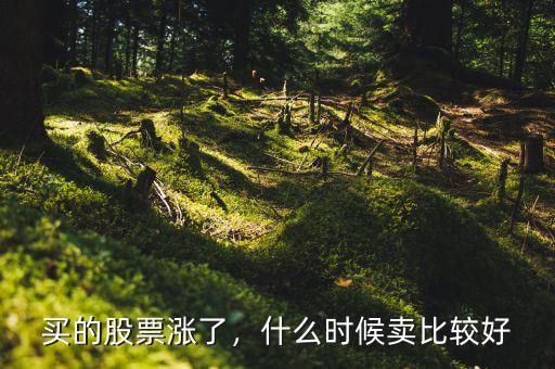 買的股票漲了，什么時(shí)候賣比較好