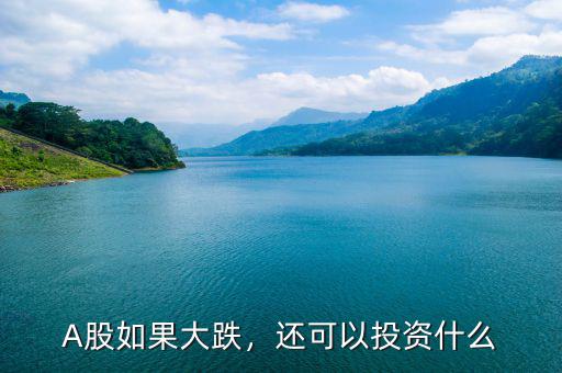 A股如果大跌，還可以投資什么