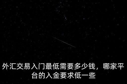 外匯交易入門最低需要多少錢，哪家平臺的入金要求低一些