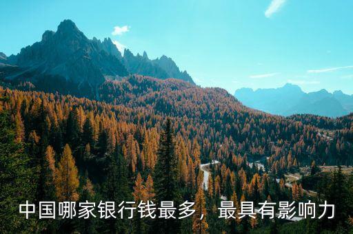中國(guó)哪家銀行錢最多，最具有影響力