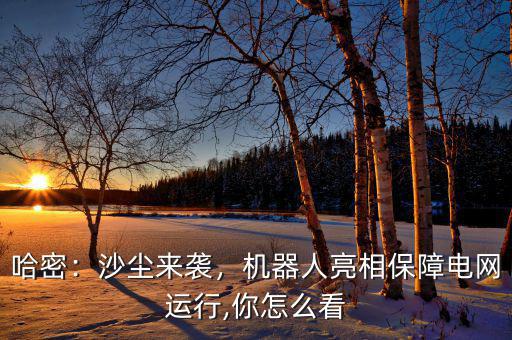 哈密：沙塵來(lái)襲，機(jī)器人亮相保障電網(wǎng)運(yùn)行,你怎么看