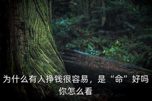 為什么有人掙錢很容易，是“命”好嗎你怎么看