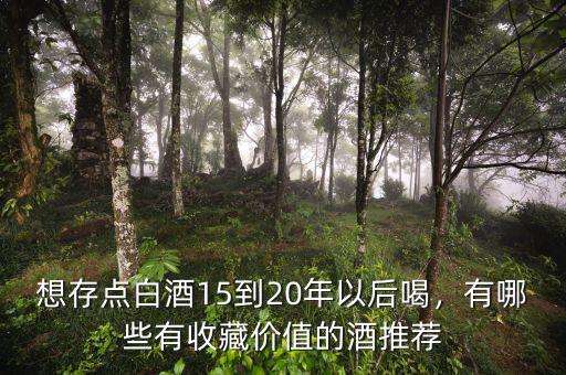 想存點(diǎn)白酒15到20年以后喝，有哪些有收藏價值的酒推薦