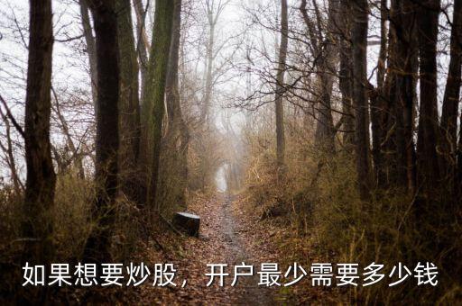 如果想要炒股，開戶最少需要多少錢