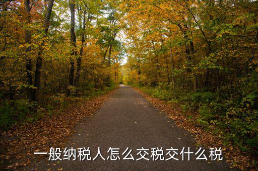 稅友可以繳納什么稅，一般納稅人應該交什么稅稅率是多少啊