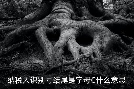 c級納稅人是什么意思，納稅人識別號結尾是字母C什么意思