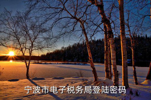 電子稅務(wù)默認(rèn)登錄密碼是什么，稅務(wù)局網(wǎng)站的登入賬戶初始密碼是什么