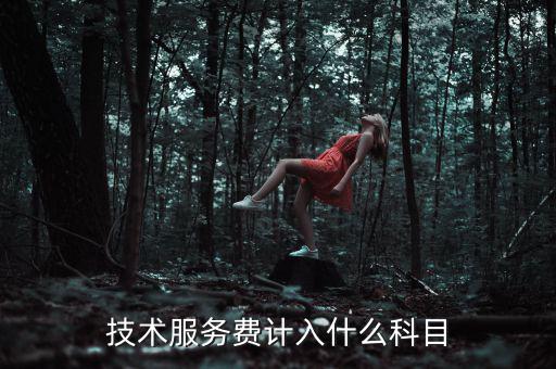 技術服務收入計入什么科目，收到技術服務費計入什么科目