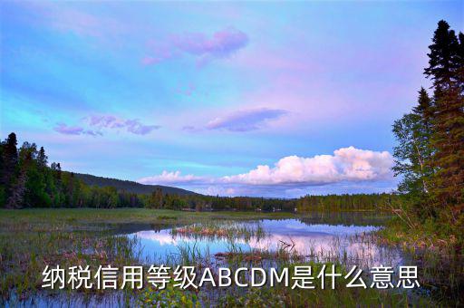 江蘇國稅信用評級是什么，納稅信用等級ABCDM是什么意思