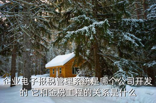 什么是網(wǎng)稅系統(tǒng)，企業(yè)電子報(bào)稅管理系統(tǒng)是哪個(gè)公司開發(fā)的 它和金稅工程的關(guān)系是什么