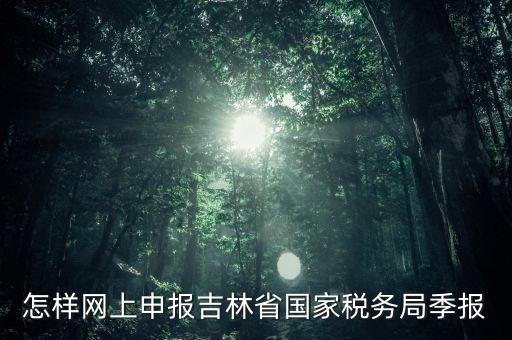 吉林省用什么報(bào)稅系統(tǒng)，吉林省的報(bào)稅系統(tǒng)如何使用