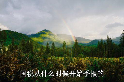 國稅什么時間申報，國稅從什么時候開始季報的