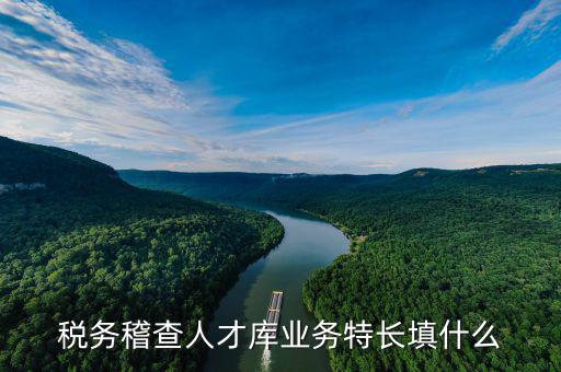 地稅局的人才庫(kù)是什么，地稅局的人具體做什么