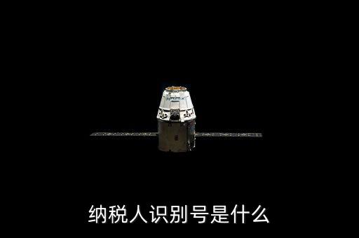 海寧市國家稅務(wù)局認(rèn)別號(hào)是什么，納稅人識(shí)別號(hào)是什么