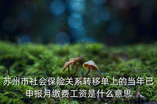 社保已申報(bào)是什么意思，新手求助請(qǐng)問(wèn)網(wǎng)上申報(bào)是什么意思