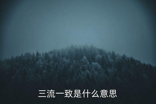 發(fā)票 流向一致是什么意思，發(fā)票四流一致是哪四流
