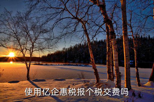 深圳億企惠稅報(bào)什么稅，稅友億企惠稅是用來申報(bào)地稅還是國稅