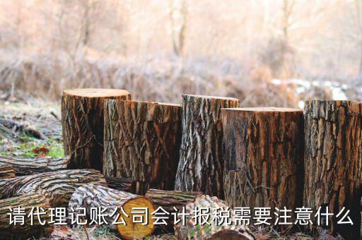 給純地稅做賬注意什么，繳的地稅怎么做帳