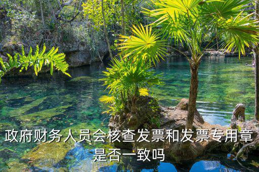 什么情況會核查發(fā)票，就是稅務(wù)局導(dǎo)出數(shù)據(jù)的時候會不會核對一下發(fā)票的因?yàn)槲也淮_定自