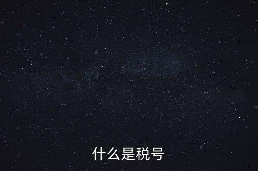 什么是單位稅號，什么是稅號