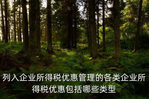 企業(yè)所得稅優(yōu)惠事項名稱指什么，享受企業(yè)所得稅優(yōu)惠申請表中稅收優(yōu)惠事項名稱怎么填