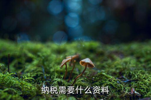 納稅人需要什么，納稅需要什么資料