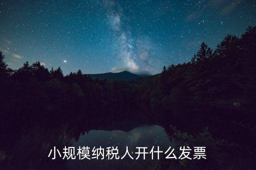 成都小規(guī)模應開什么發(fā)票，小規(guī)模納稅人開什么發(fā)票