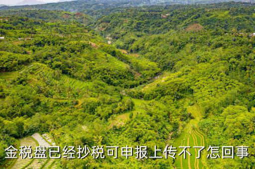 金稅申報(bào)發(fā)送不了是什么原因，金稅盤已經(jīng)抄稅可申報(bào)上傳不了怎回事