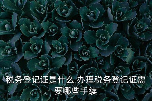 地稅局登記是什么，地稅辦理稅務(wù)登記需要哪些資料