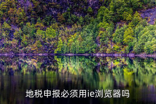 用什么瀏覽器申報山東地稅，地稅申報必須用ie瀏覽器嗎