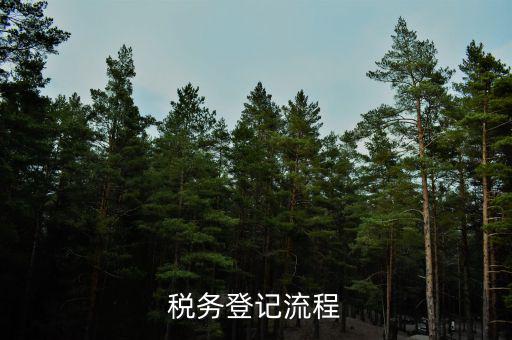 扣繳稅款登記主要流程是什么意思，納稅流程是怎樣的