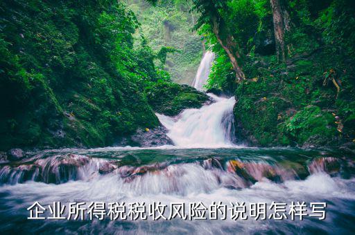 稅收中等風(fēng)險(xiǎn)是什么內(nèi)容，企業(yè)所得稅稅收風(fēng)險(xiǎn)的說明怎樣寫