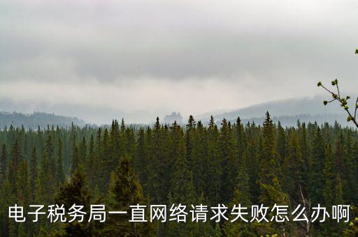 貴州省網(wǎng)上稅務(wù)局為什么打不開(kāi)，怎么打不開(kāi)貴州地方稅務(wù)局網(wǎng)站