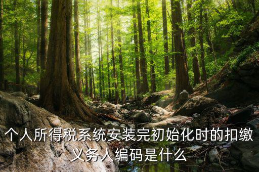 扣繳人義務(wù)編碼是什么，扣繳義務(wù)人編碼是什么啊