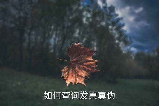 查驗發(fā)票需要什么信息，發(fā)票怎么去稅務(wù)局驗證需要什么資料