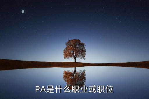 河南省國稅局陳紅偉什么職務，PA是什么職業(yè)或職位