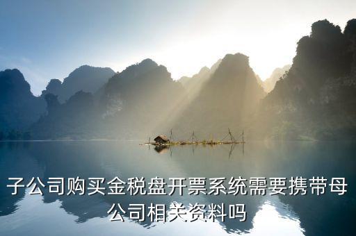 購(gòu)買稅控盤需要帶什么資料，增值稅小規(guī)模納稅人購(gòu)買稅控盤在附列資料中需要填寫嗎