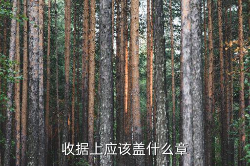 收據(jù)應(yīng)蓋什么章，收據(jù)蓋什么章有規(guī)定嗎