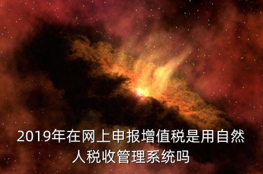 什么是增值稅管理系統(tǒng)，2019年在網(wǎng)上申報增值稅是用自然人稅收管理系統(tǒng)嗎