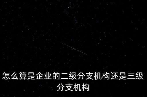 什么叫企業(yè)二級(jí)分支機(jī)構(gòu)，現(xiàn)在分公司要辦稅務(wù)登記證但是我想問一下二級(jí)分機(jī)構(gòu)指的是