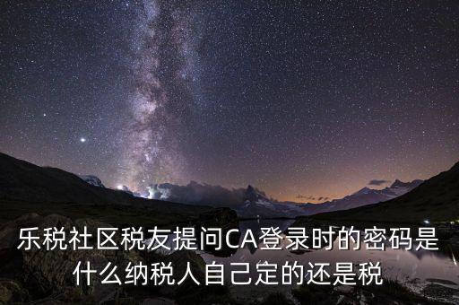 納稅人登路的密碼是什么意思，國稅第一次網(wǎng)上申報的登陸密碼是什么