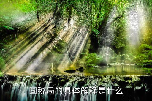 什么屬于國稅局，國稅局的具體解釋是什么