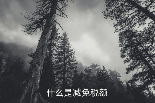 什么是抵免所得稅額，企業(yè)所得稅的減免額抵減額指的是什么