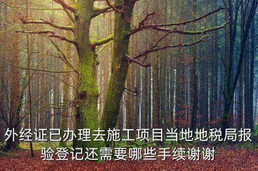 外管證報(bào)驗(yàn)都需要什么，辦了外管證咋申報(bào)