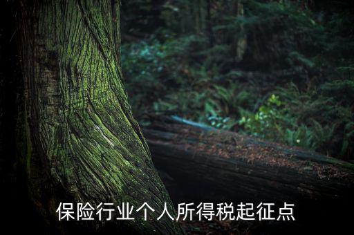 保險(xiǎn)行業(yè)入交什么稅，保險(xiǎn)行業(yè)個(gè)人所得稅起征點(diǎn)