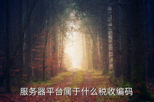 稅收服務(wù)編碼是什么，什么是稅收編碼